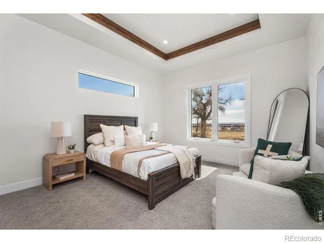6739 Morning Song Court Timnath, CO 80547