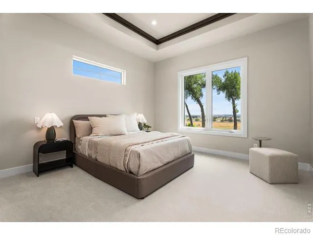 6719 Morning Song Court Timnath, CO 80547