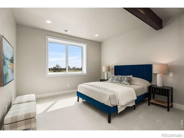 6719 Morning Song Court Timnath, CO 80547