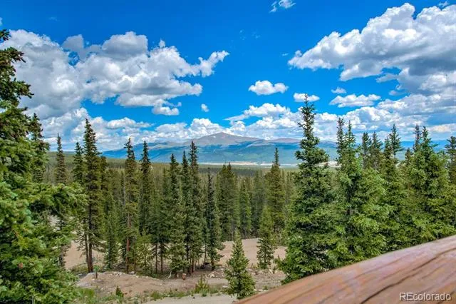137 Porcupine Road Fairplay, CO 80440