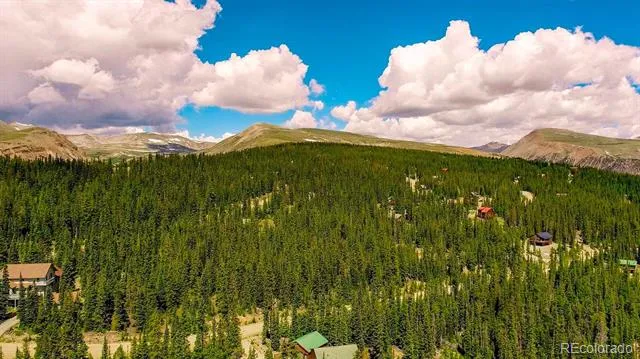 137 Porcupine Road Fairplay, CO 80440