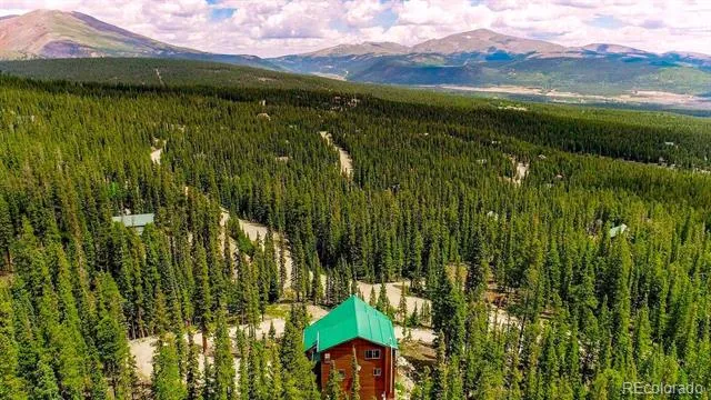 137 Porcupine Road Fairplay, CO 80440