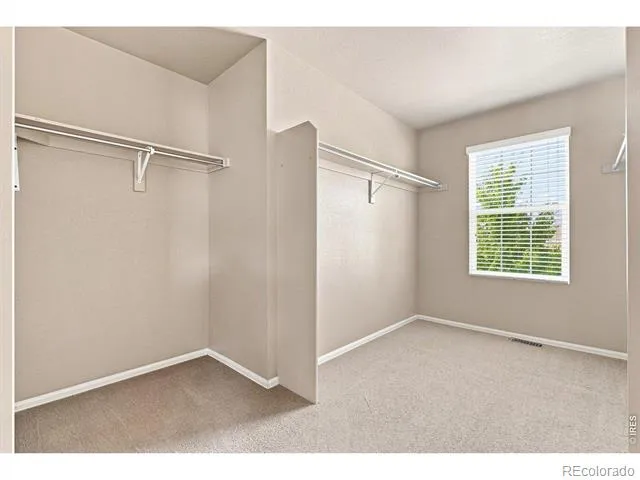 6805 Covenant Court Timnath, CO 80547
