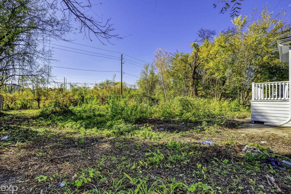 2513 Concord Street Detroit City, MI 48207