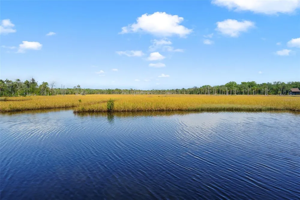 6085 S ROYAL DRIVE Homosassa, FL 34448