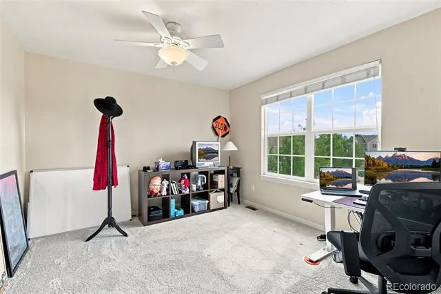 10338 Spruce Court Parker, CO 80138