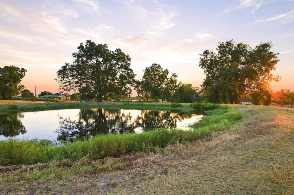 10381 Fm 512 Wolfe City, TX 75496