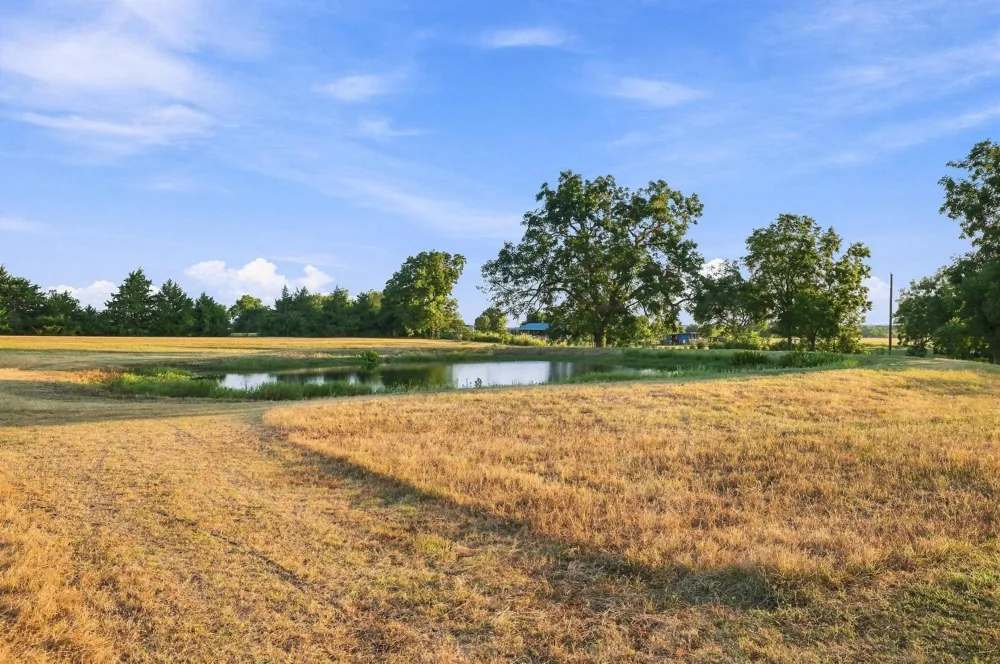 10381 Fm 512 Wolfe City, TX 75496