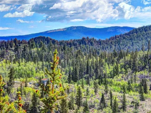 75 Swiggler Road Jefferson, CO 80456