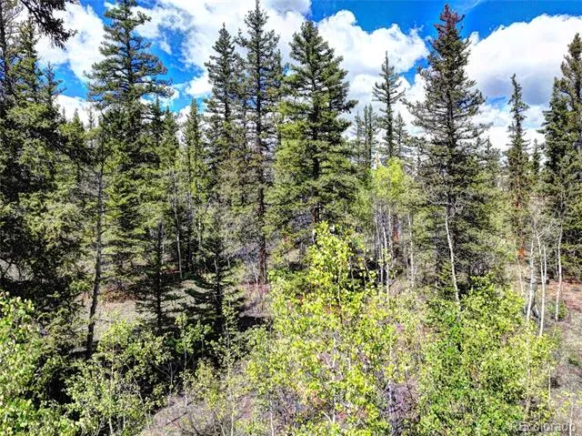 75 Swiggler Road Jefferson, CO 80456