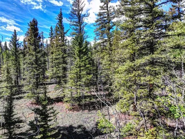 75 Swiggler Road Jefferson, CO 80456