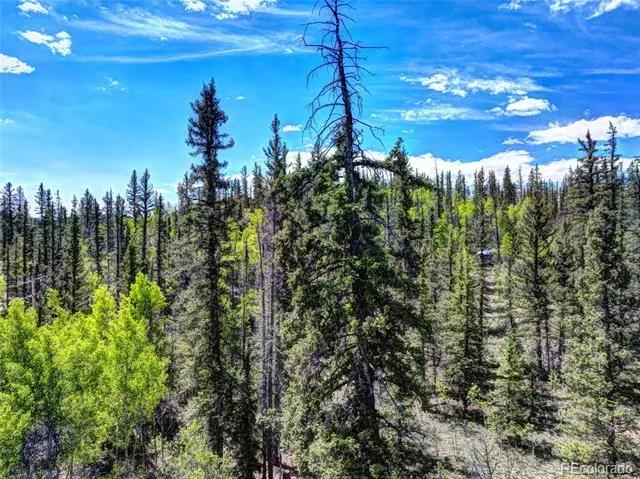 75 Swiggler Road Jefferson, CO 80456