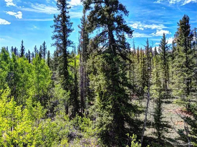 75 Swiggler Road Jefferson, CO 80456