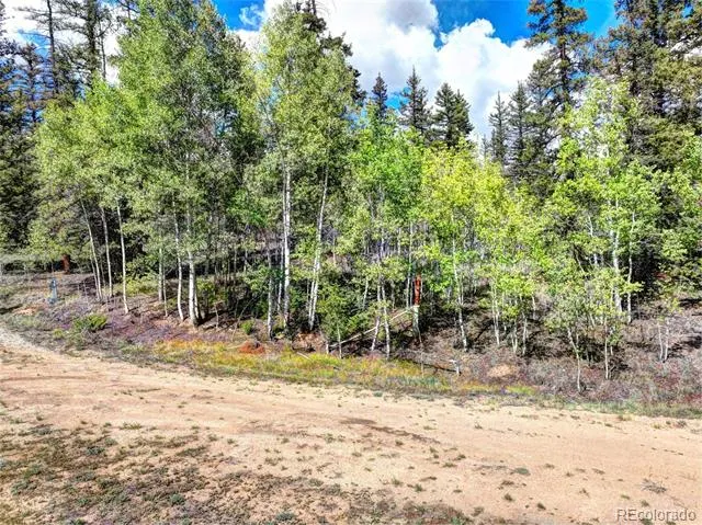 75 Swiggler Road Jefferson, CO 80456