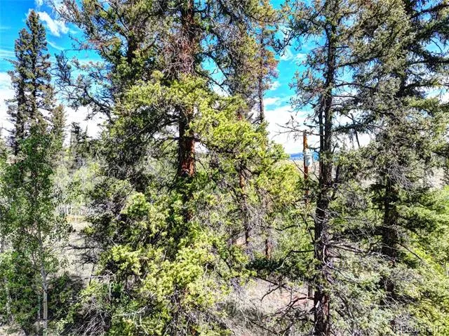 75 Swiggler Road Jefferson, CO 80456