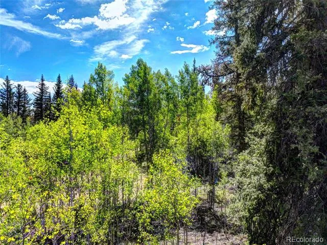75 Swiggler Road Jefferson, CO 80456