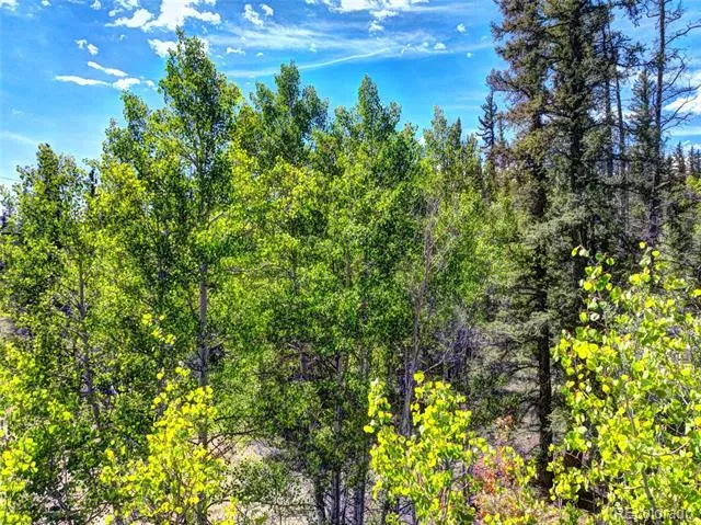 75 Swiggler Road Jefferson, CO 80456