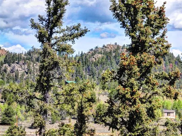 75 Swiggler Road Jefferson, CO 80456