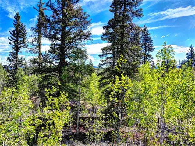 75 Swiggler Road Jefferson, CO 80456
