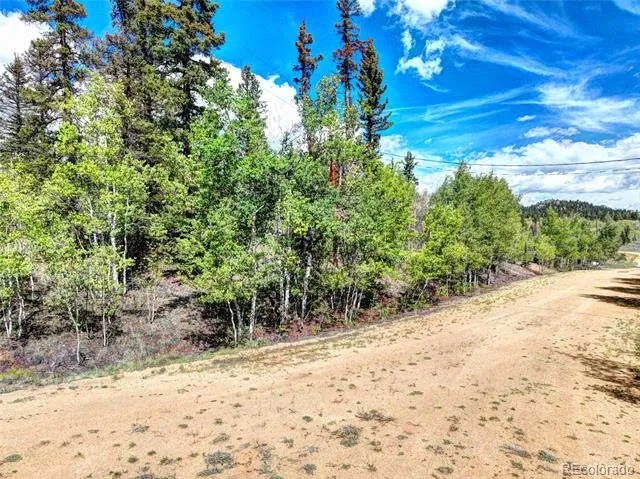 75 Swiggler Road Jefferson, CO 80456