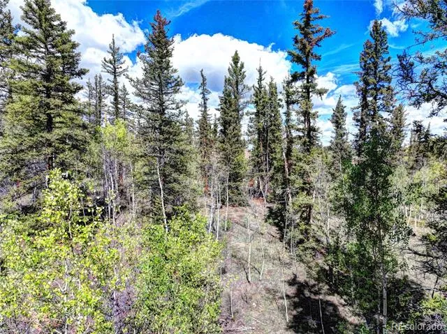 75 Swiggler Road Jefferson, CO 80456