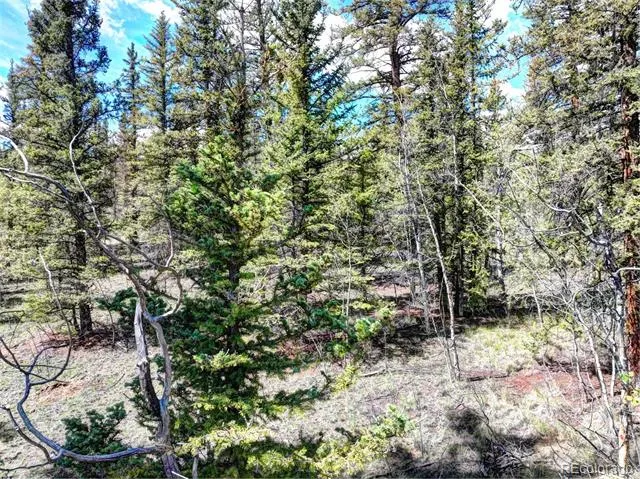 75 Swiggler Road Jefferson, CO 80456