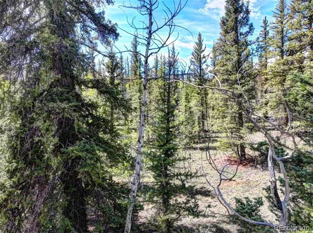75 Swiggler Road Jefferson, CO 80456