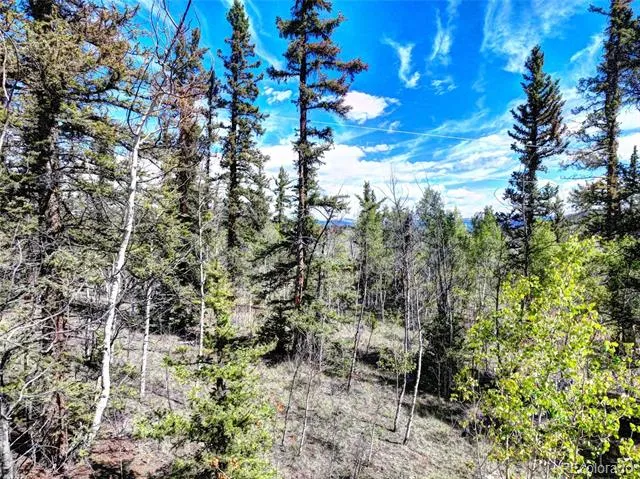 75 Swiggler Road Jefferson, CO 80456