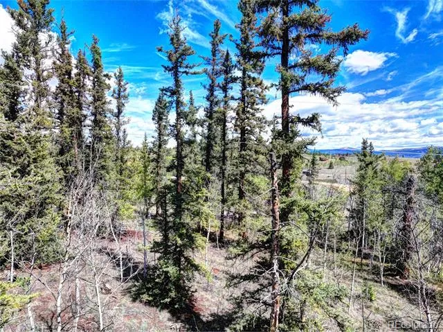 75 Swiggler Road Jefferson, CO 80456
