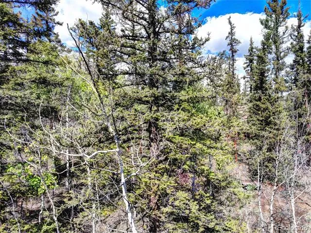 75 Swiggler Road Jefferson, CO 80456