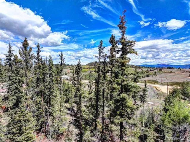 75 Swiggler Road Jefferson, CO 80456