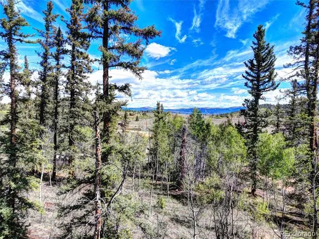 75 Swiggler Road Jefferson, CO 80456