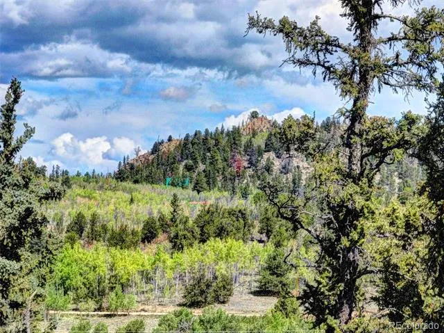 75 Swiggler Road Jefferson, CO 80456