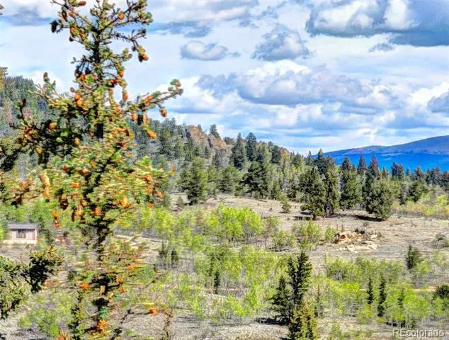 75 Swiggler Road Jefferson, CO 80456