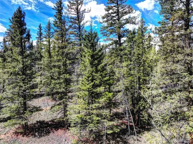 75 Swiggler Road Jefferson, CO 80456