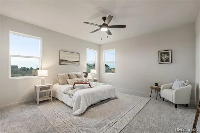 728 E Campbell Lane Pueblo, CO 81007