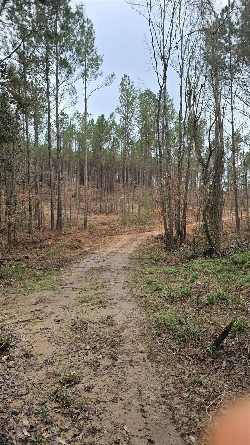 Cr 1150 Woodville, TX 75979
