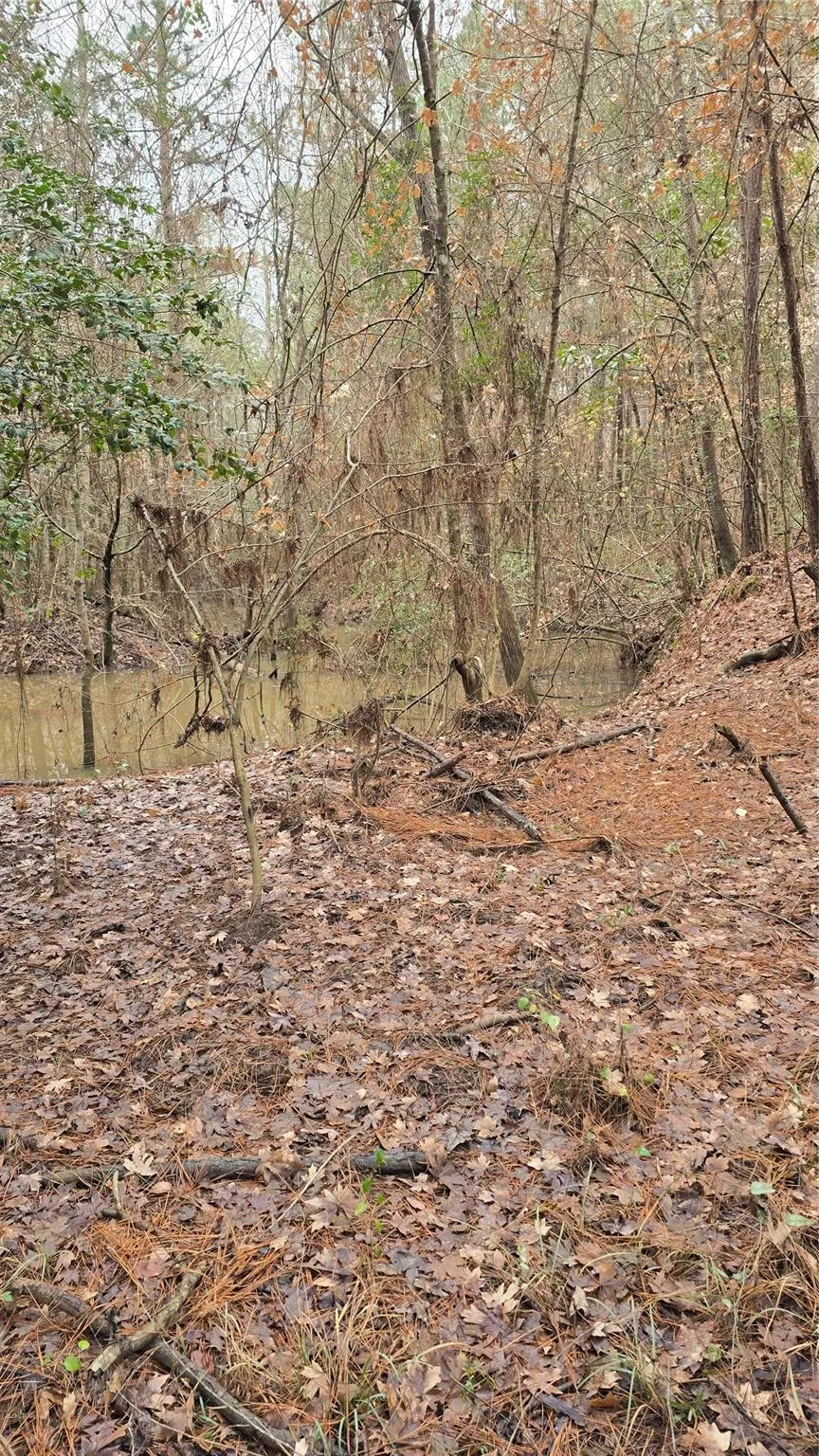Cr 1150 Woodville, TX 75979