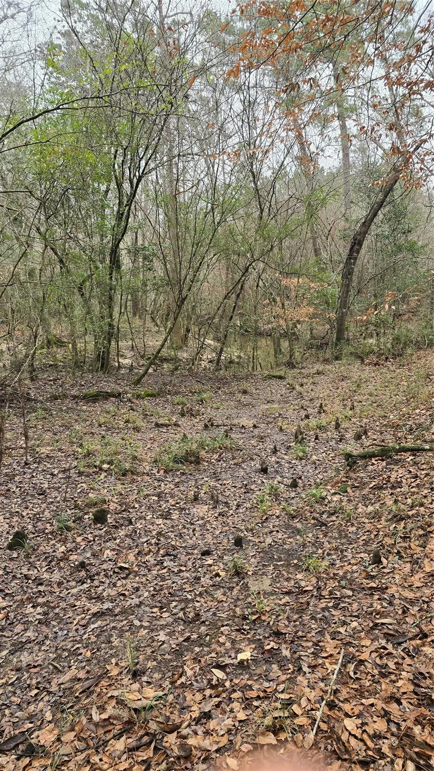 Cr 1150 Woodville, TX 75979