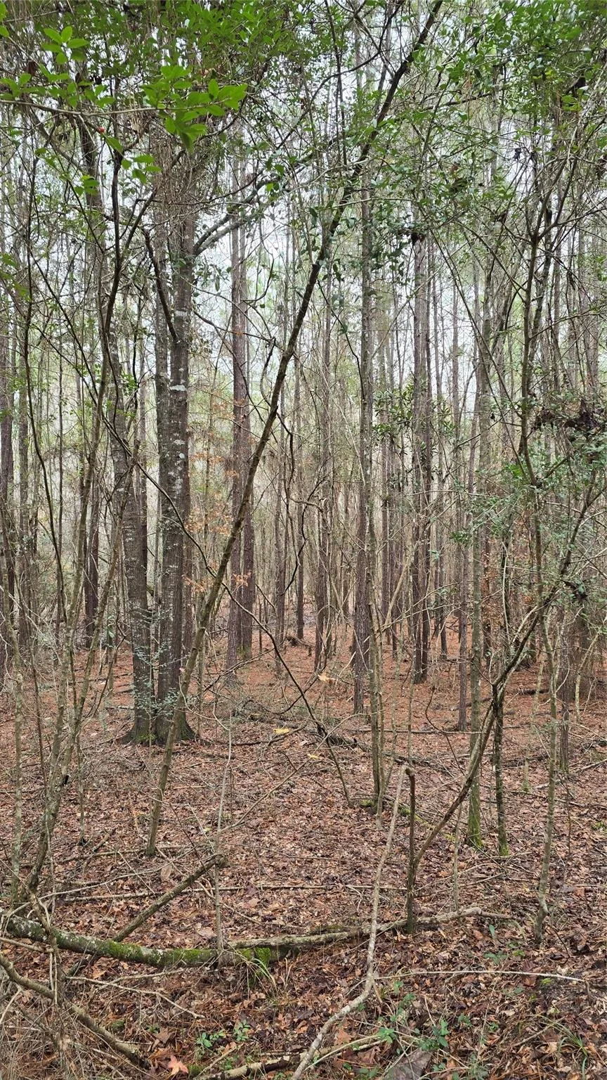 Cr 1150 Woodville, TX 75979