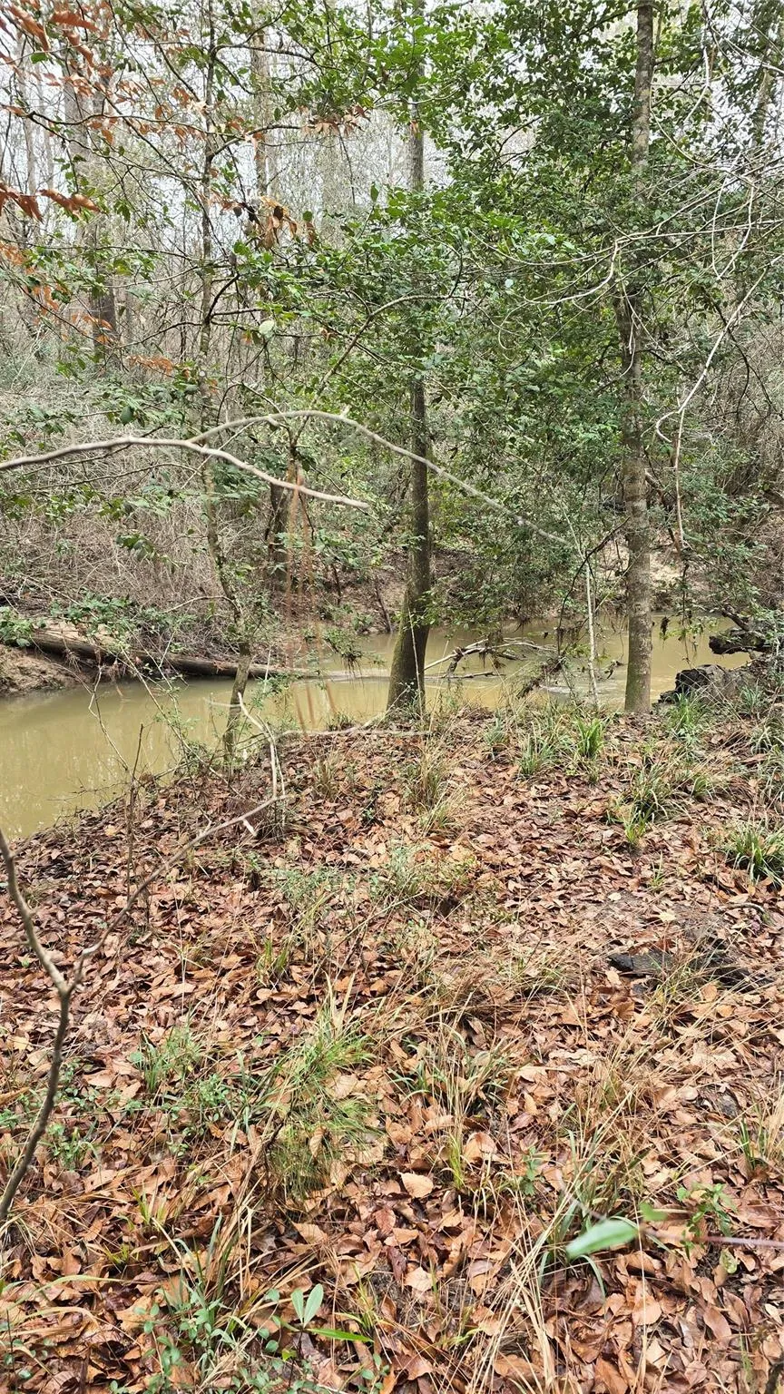 Cr 1150 Woodville, TX 75979