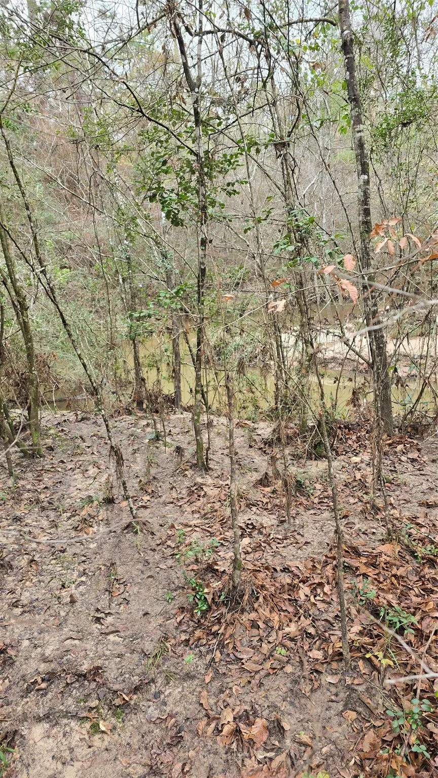 Cr 1150 Woodville, TX 75979