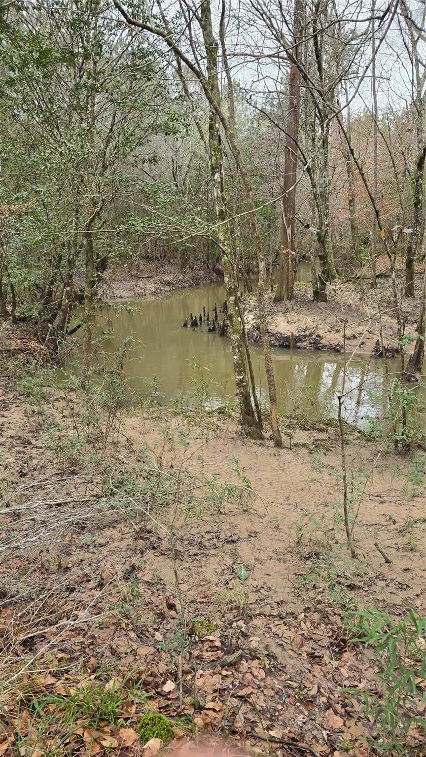 Cr 1150 Woodville, TX 75979