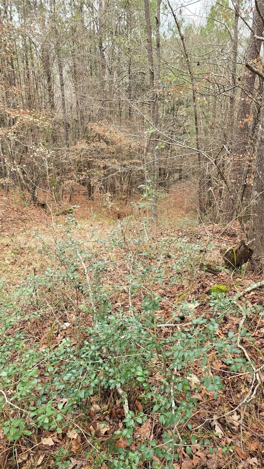 Cr 1150 Woodville, TX 75979
