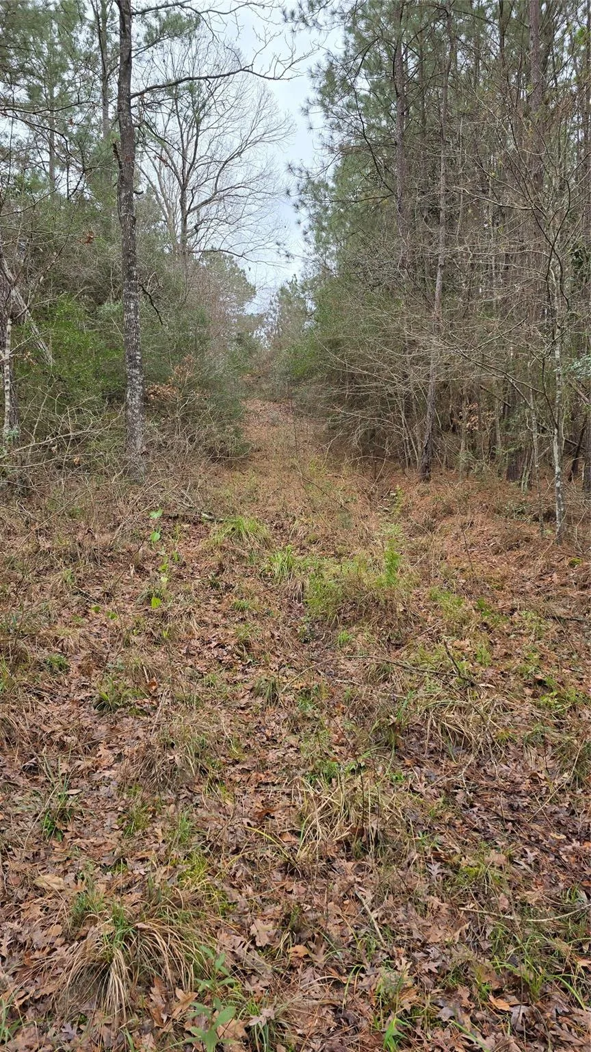 Cr 1150 Woodville, TX 75979