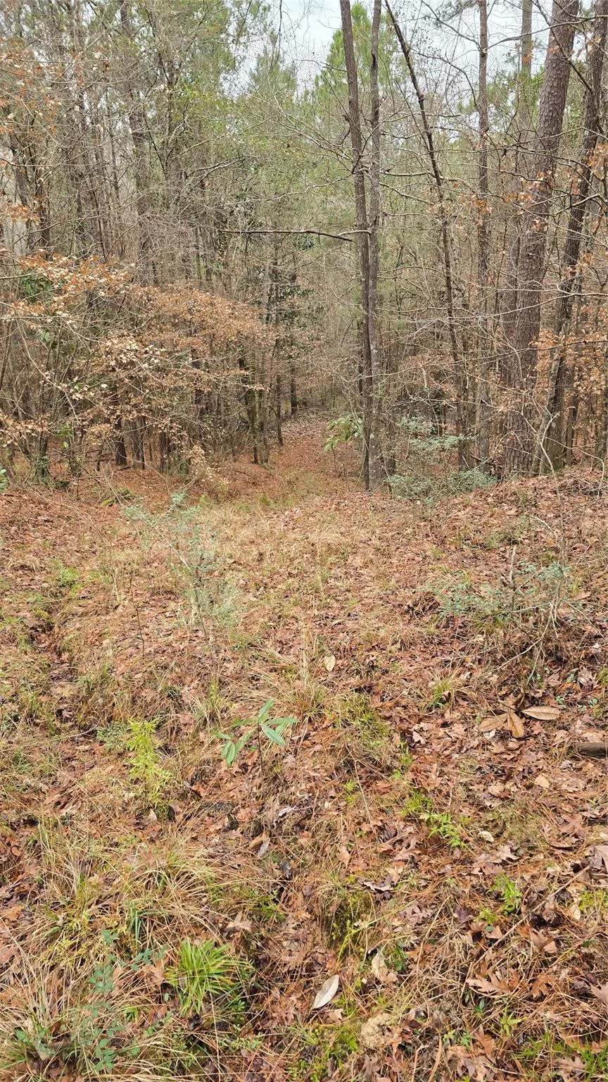 Cr 1150 Woodville, TX 75979