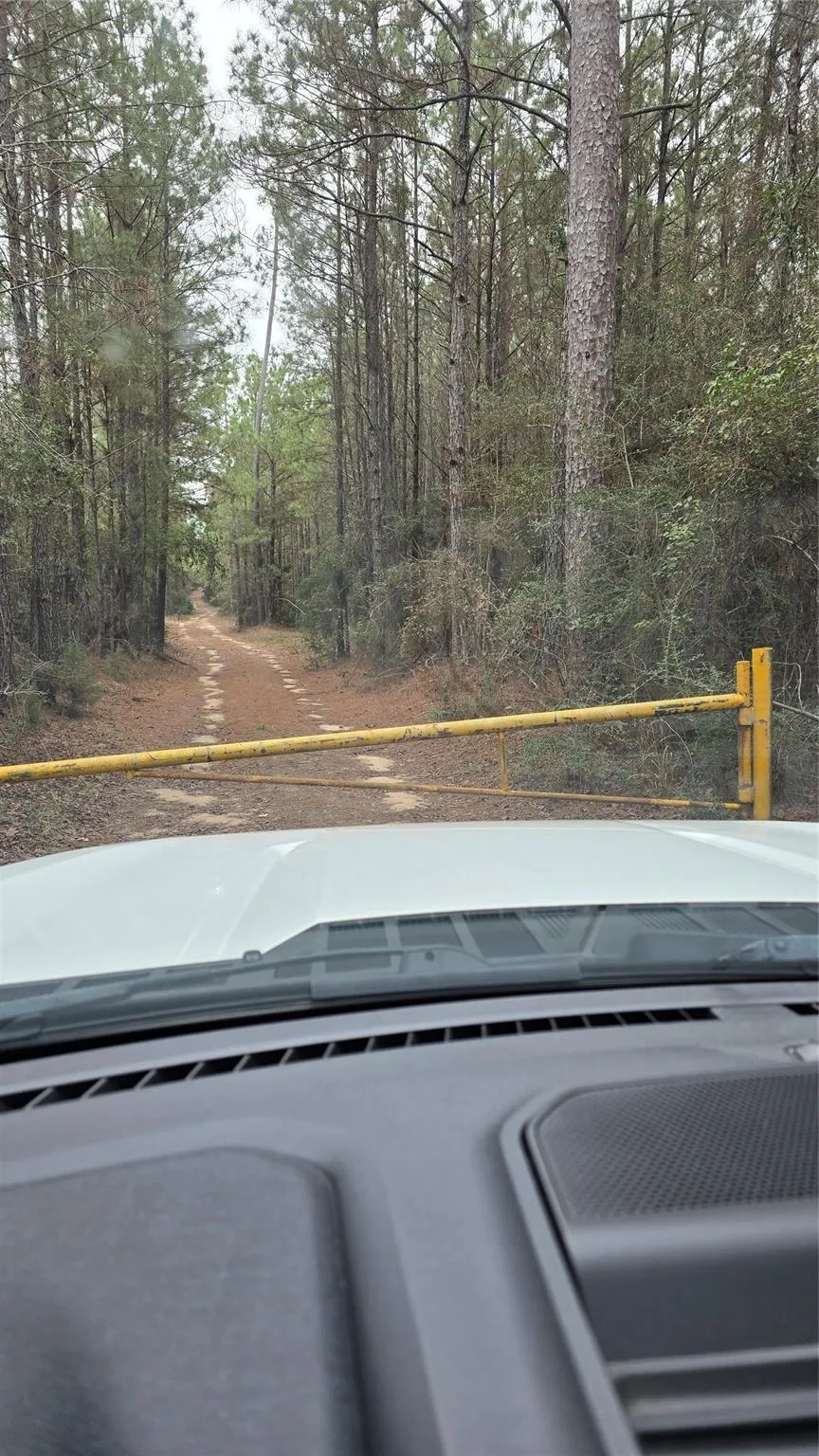 Cr 1150 Woodville, TX 75979