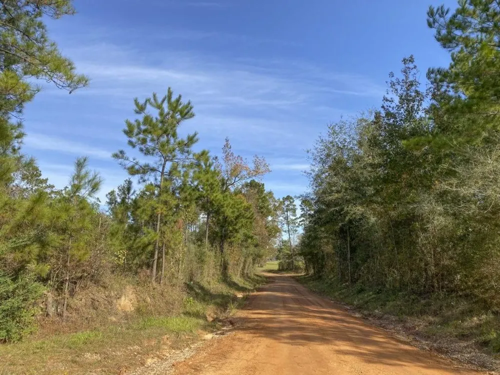 Cr 1150 Woodville, TX 75979