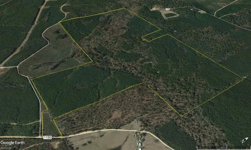Cr 1150 Woodville, TX 75979