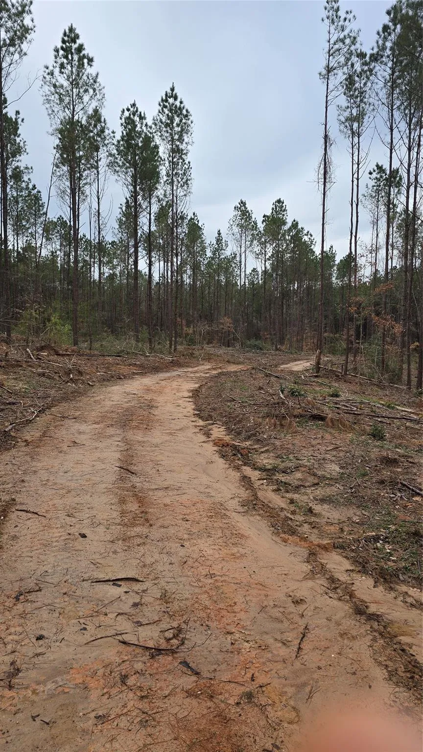 Cr 1150 Woodville, TX 75979